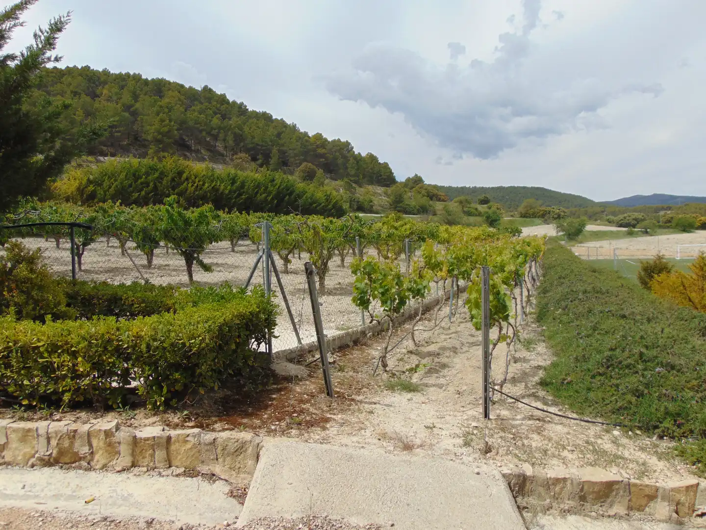 Casa rustica con piscina in vendita a Partida Polop Baix, imagen 143