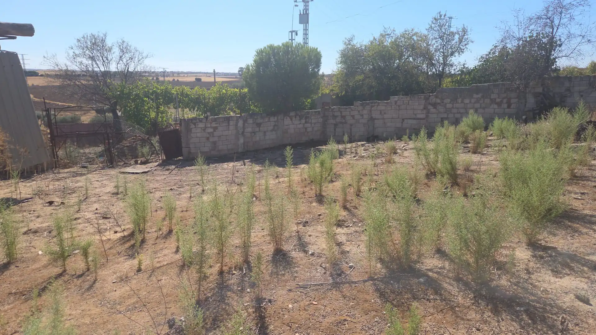 Casa o xalet en venda en Navalcarnero