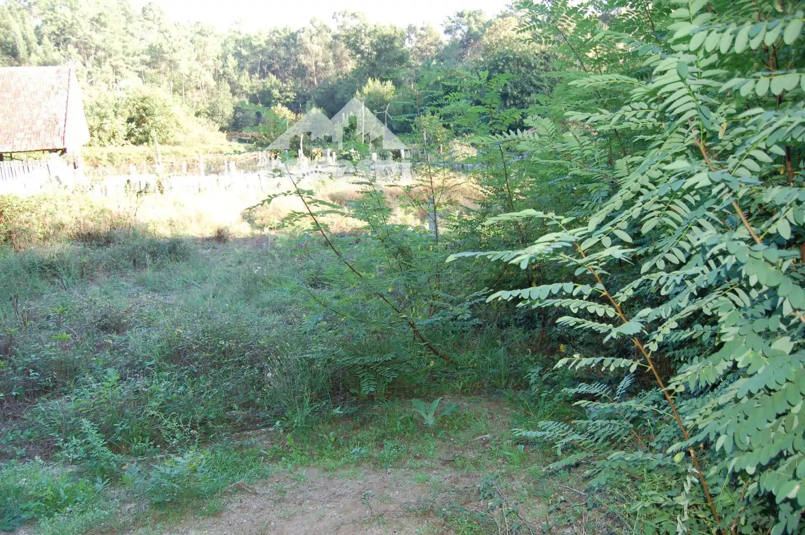 Terreny rústic en venda a Salvaterra de Miño, imagen 10