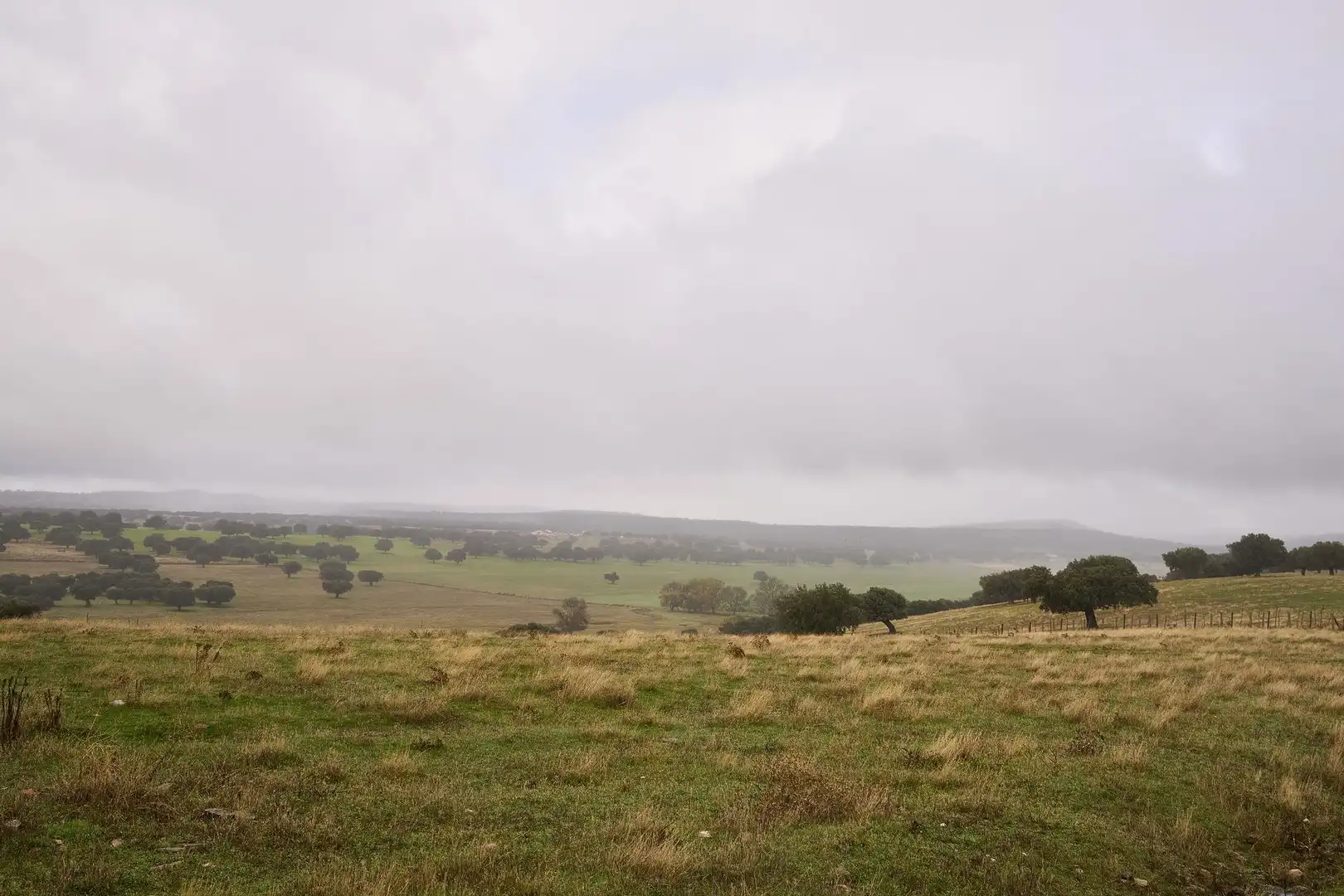 Finca rústica en venta en Horcajo Medianero