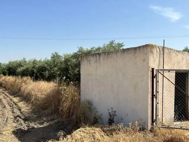 Terreno rustico in vendita a JUEVES POR LA MAQANA POLIGONO 3, imagen 4