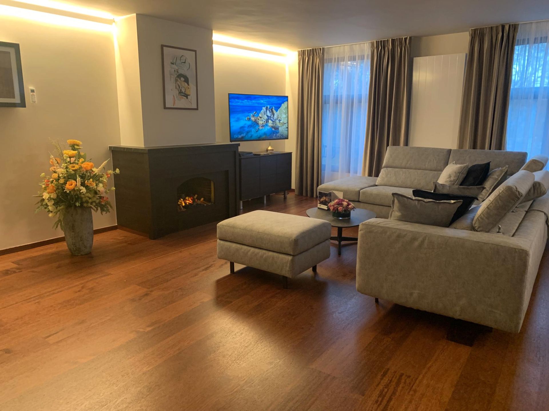 Living room of Study for rent in  Cádiz Capital  with Furnished and Pets allowed