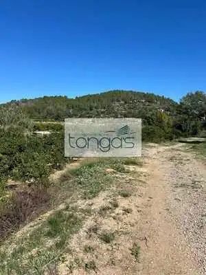 Terreny rústic en venda a Llanera de Ranes, imagen 2