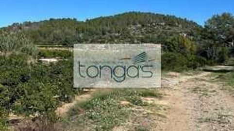 PARCELA NARANJOS, imagen 2