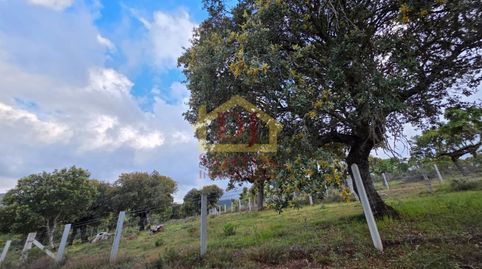 Foto 2 de Finca rústica en venta en Calle Fuente, La Rinconada de la Sierra , Salamanca