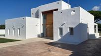 Vista exterior de Casa o xalet en venda en Chiclana de la Frontera amb Aire condicionat, Calefacció i Jardí privat