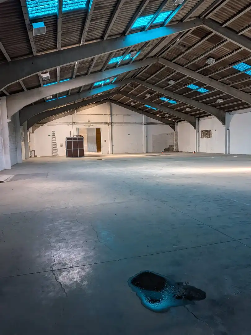 Industriegebäude zur Miete in La Hacienda - Nueva Andalucía, imagen 6