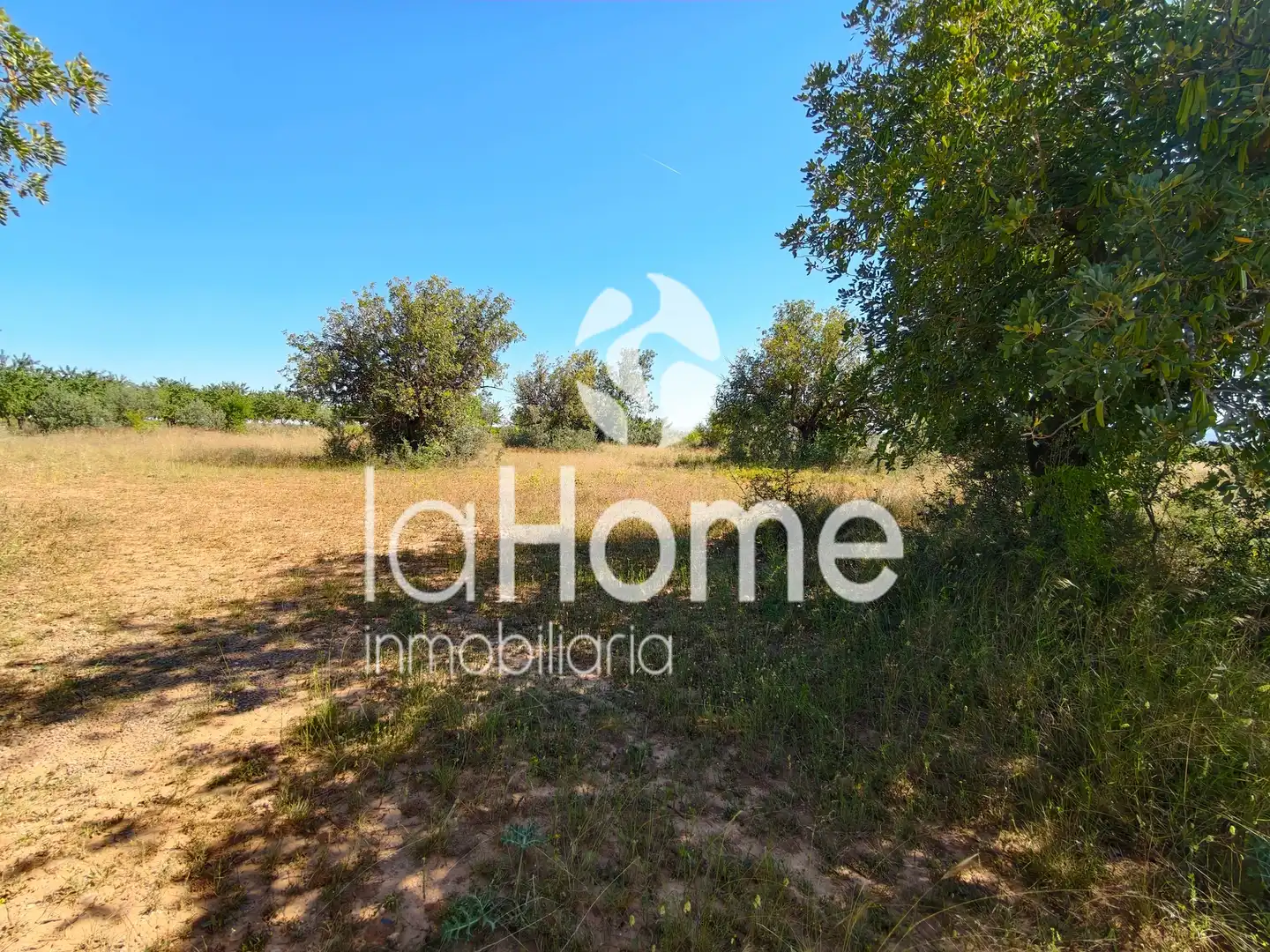 Finca rústica en venta en Llíria con Terraza