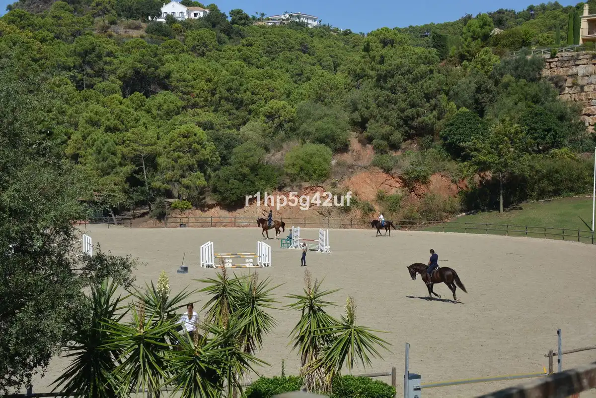 Chalet con piscina en venta en Calle Benahavis, imagen 12
