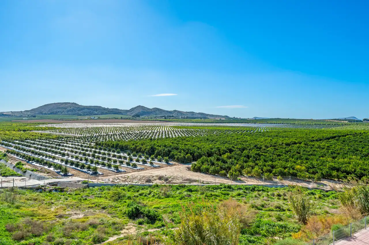 Apartments for sale in Algorfa