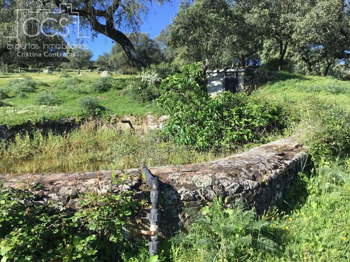 Jardí de Finca rústica en venda en El Pedroso amb Traster, Piscina i Moblat