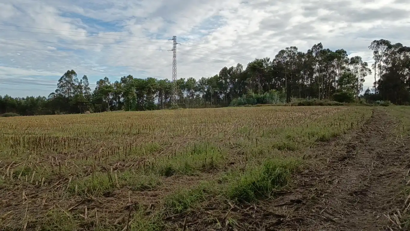 Terreno rústico en venta en Aldea Cabañas, imagen 14