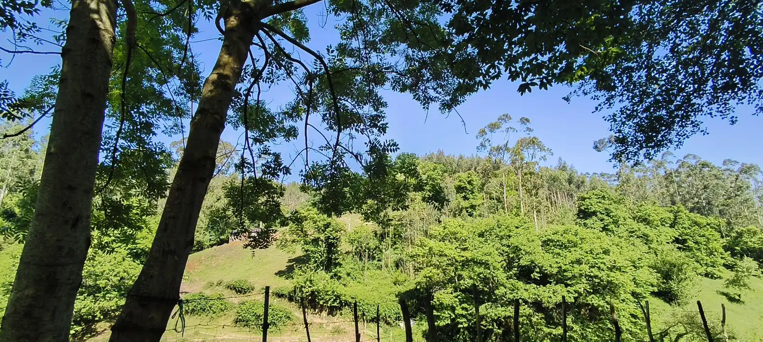 Casa amb jardí en venda a Cabezón de la Sal - Las Tueras, imagen 10