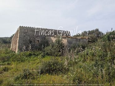 Terreno rustico in vendita a cami des pujol
