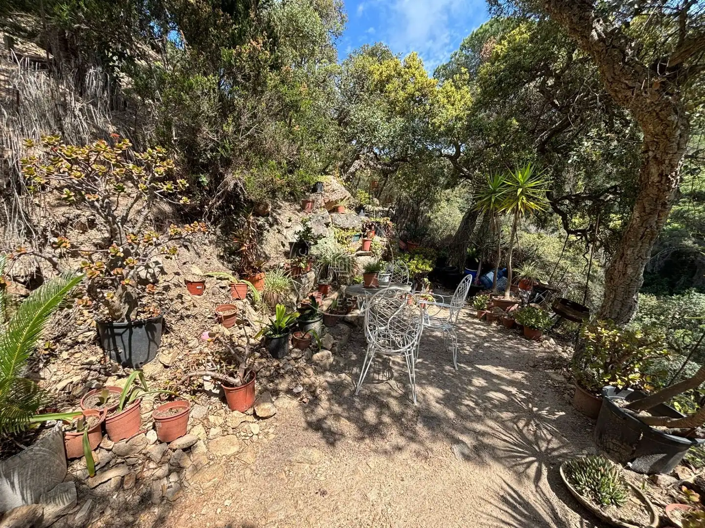 Terrenos y solares en venta en Canyelles, imagen 9