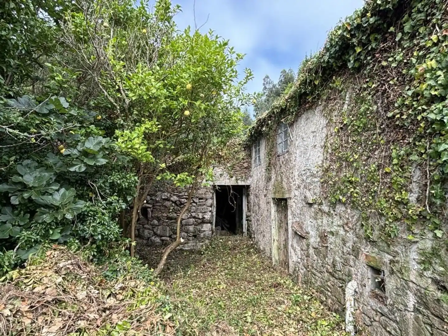 Country homes for sale in O Vicedo 