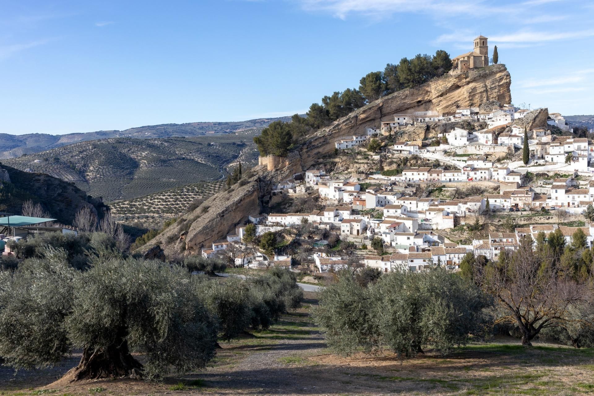 Exterior view of Country house for sale in Montefrío