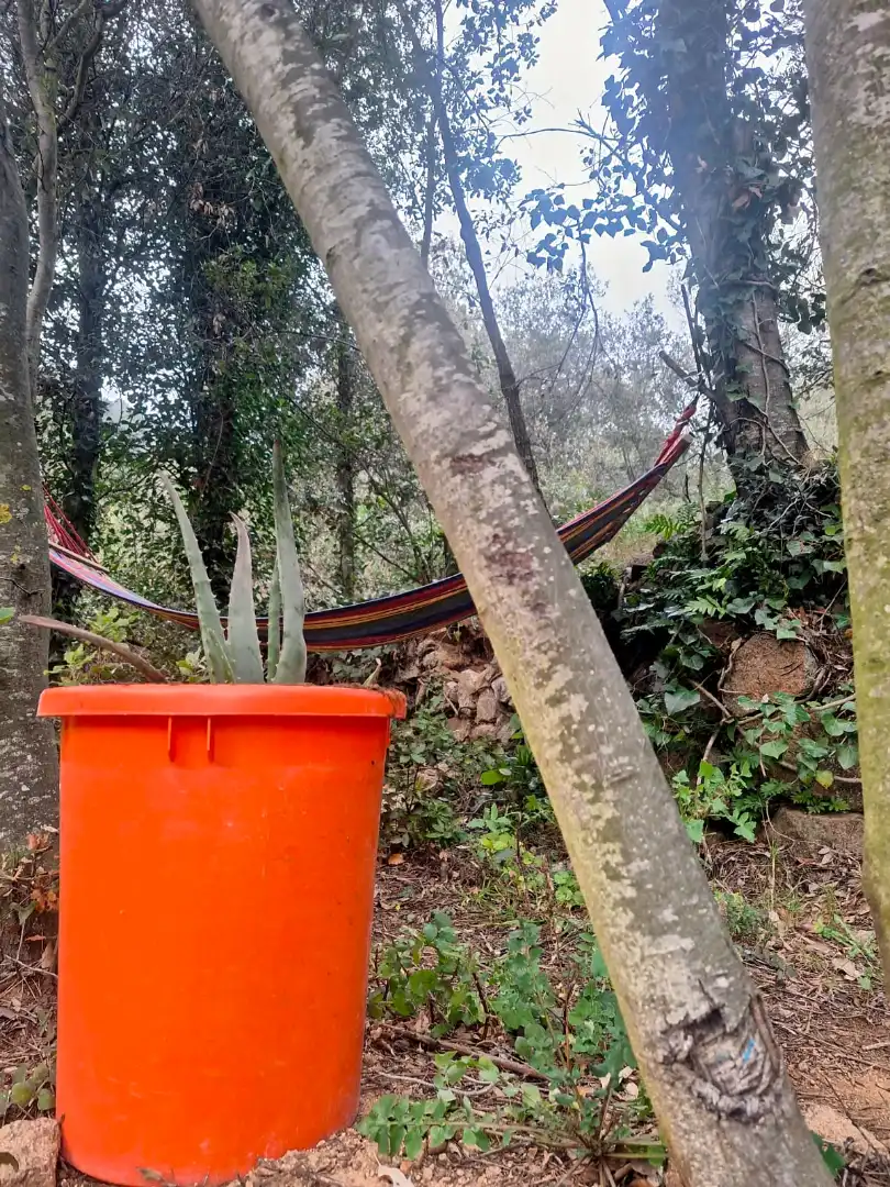 Garten von Grundstücke zur Miete in L'Aleixar