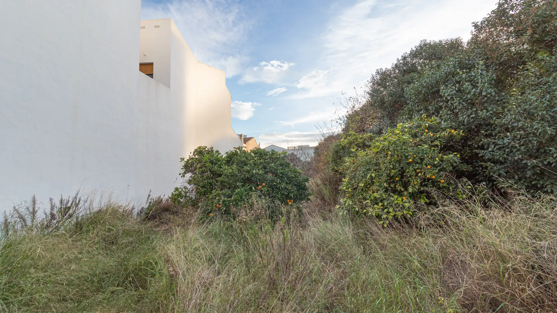 Terreny residencial en venda a Ondara, imagen 2