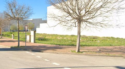 Photo 3 of Industrial land for sale in Caballero Bonald - San José Obrero - Guadalcacín, Cádiz