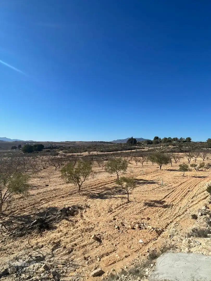 Wohnbaugrundstück zum Verkauf in El Pinós / Pinoso, imagen 13