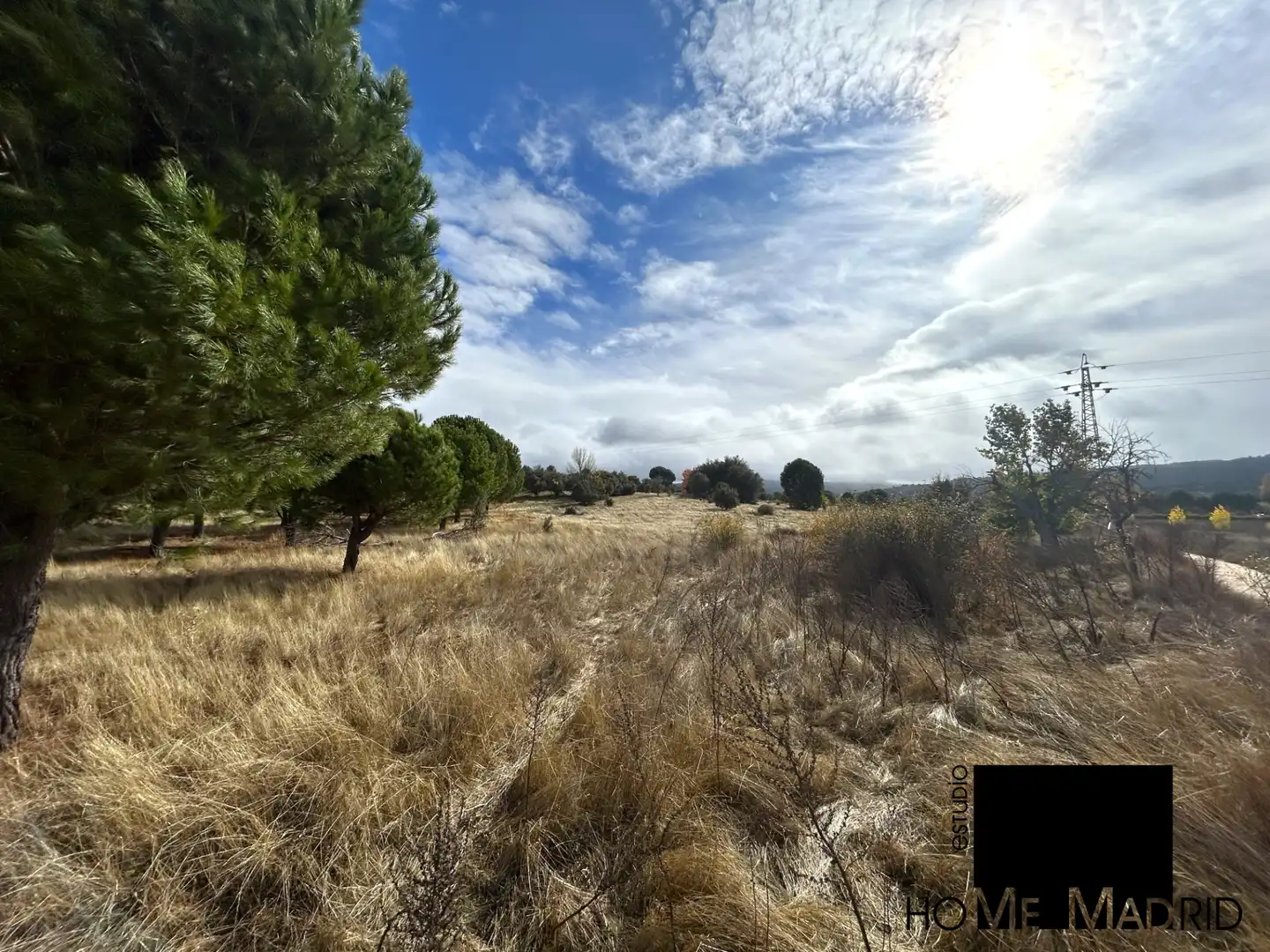 Rural land for sale in Camino de las Fontanillas, imagen 3