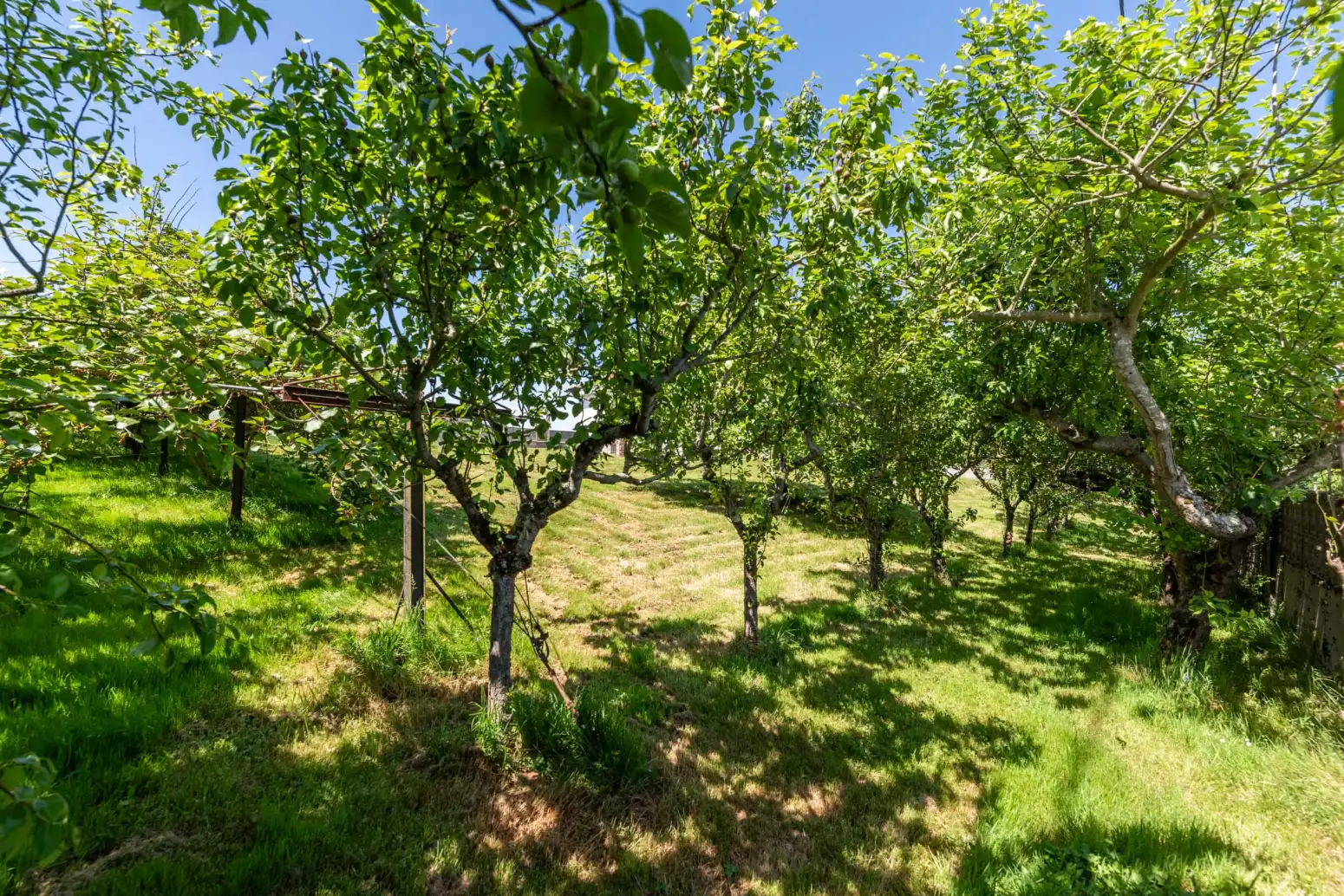 House for sale in Oviedo - CS LLOVERA 16, imagen 15