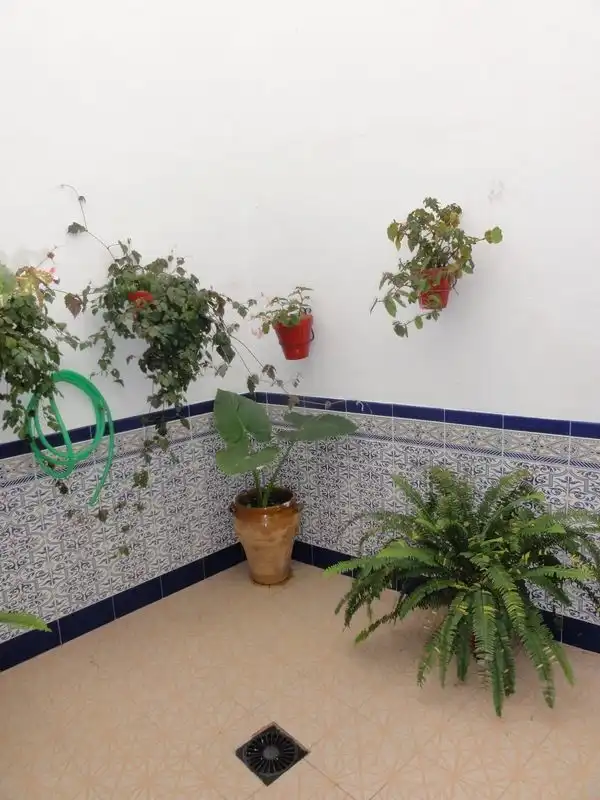 Garden of Houses for sale in Córdoba  with Terrace and Storage room