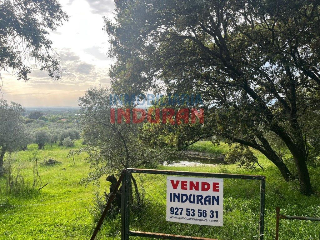 Casa o xalet en venda en Millanes