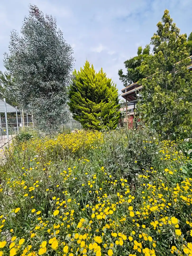 Jardín de Local en venta en Murcia con Aire acondicionado, Calefacción y Terraza