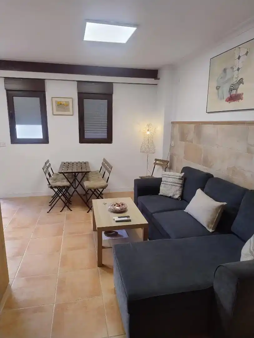 Sala d'estar de Apartament de lloguer en Sevilla amb Aire condicionat, Moblat i Microones