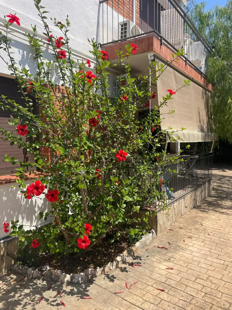 Jardín de Planta baja en venta en Altafulla con Aire acondicionado y Terraza