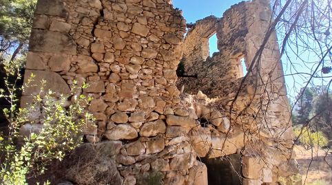 Finca rústica con maset en Arnes, immagine 3