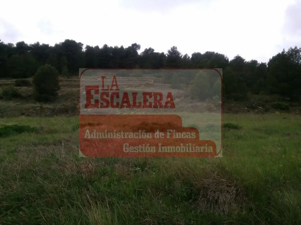 Terreny rústic en venda a Ibi