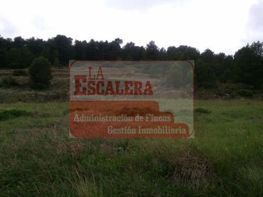 Terreno rustico in vendita a Ibi