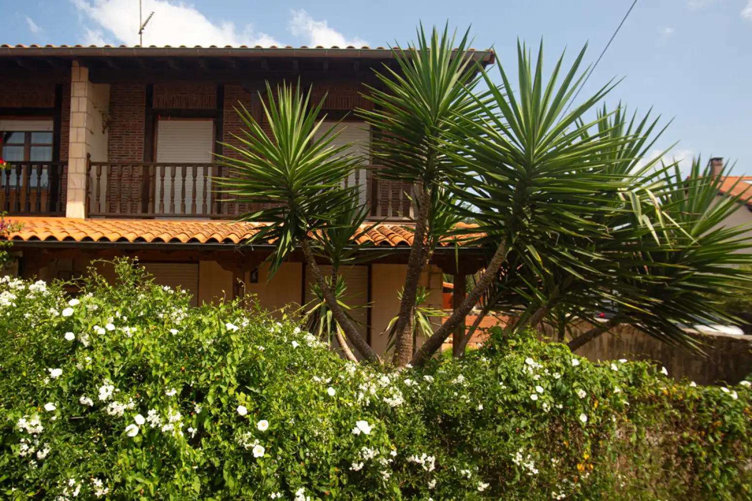 Habitatge amb terrassa en venda a Casar - BO CASAR 155, imagen 4