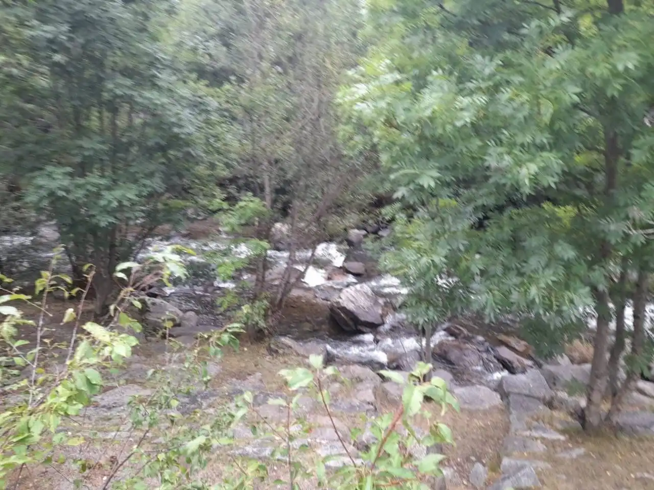 Casa rústica amb jardí en venda a Latour - de - Carol, imagen 12