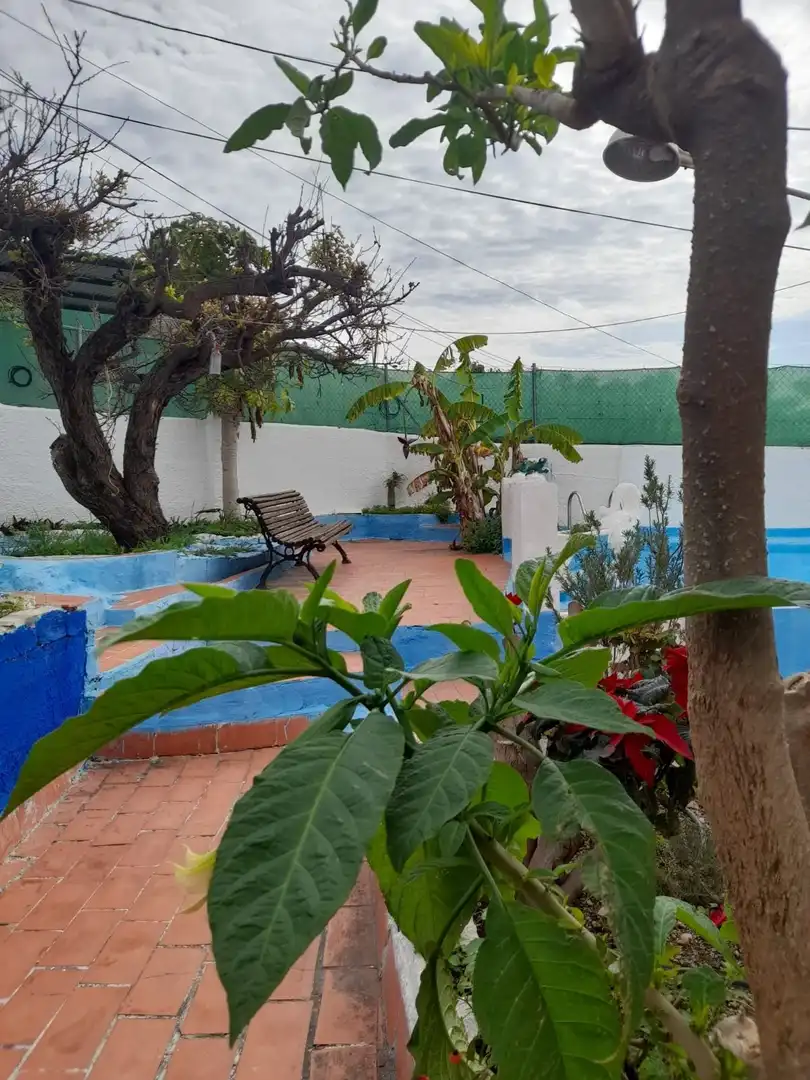 Jardín de Finca rústica en venta en Frigiliana con Calefacción, Jardín privado y Terraza