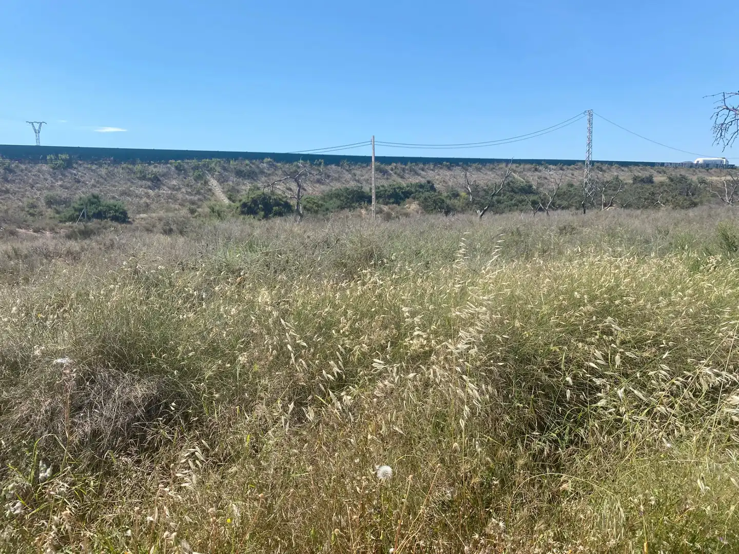 Land for sale in San Vicente del Raspeig / Sant Vicent del Raspeig