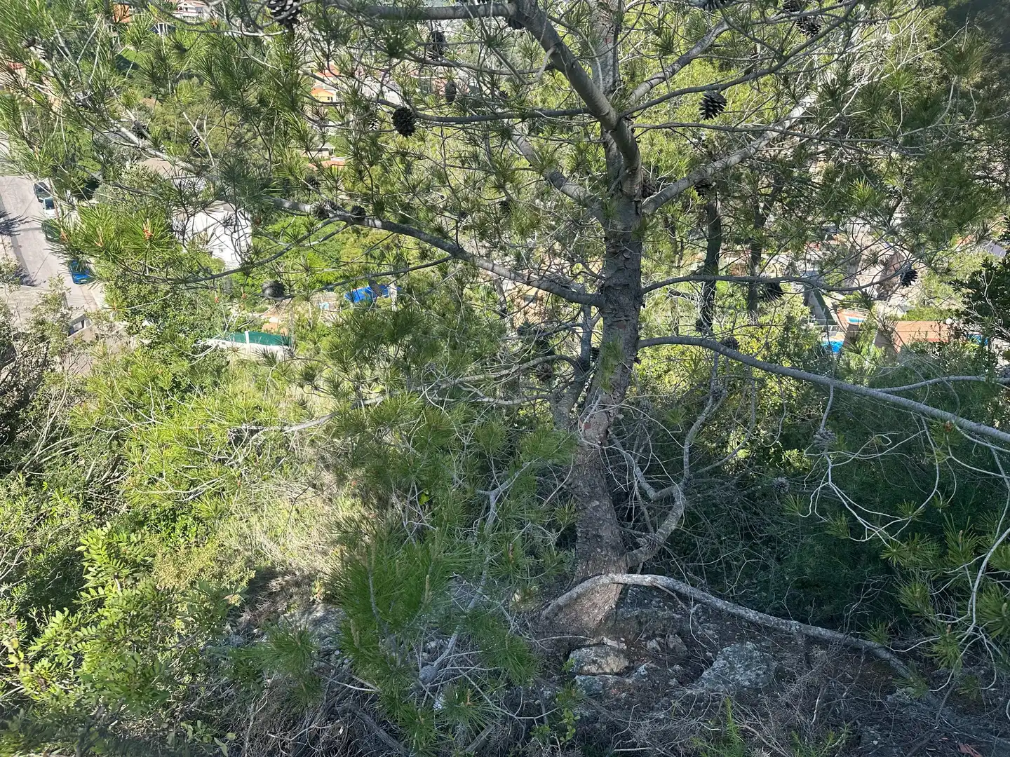 Residential land for sale in BALEARS, imagen 7