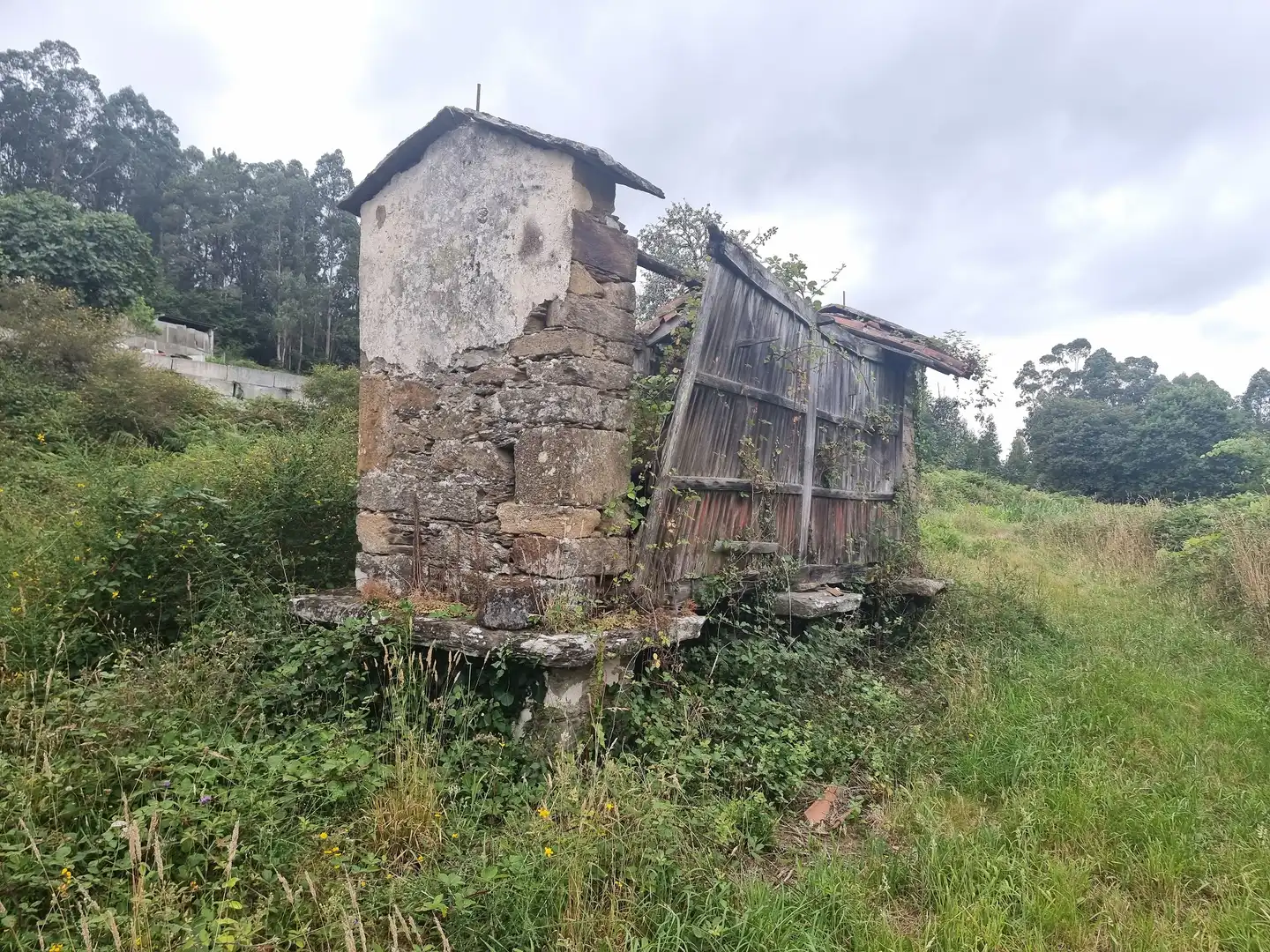 Vista exterior de Casa o xalet en venda en Boqueixón amb Jardí privat, Traster i Balcó