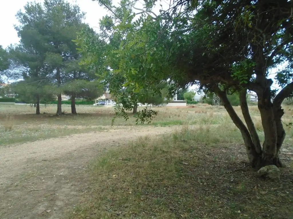 Rustikales Grundstück zum Verkauf in Paraje del Moro, imagen 19