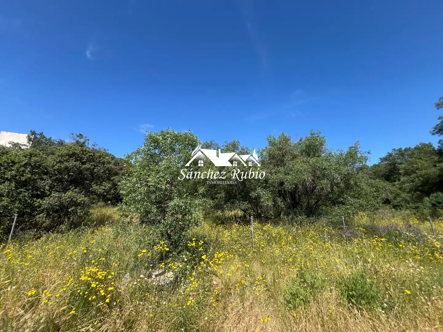 Terreno residencial en venta en Las Matas  - Peñascales, imagen 11
