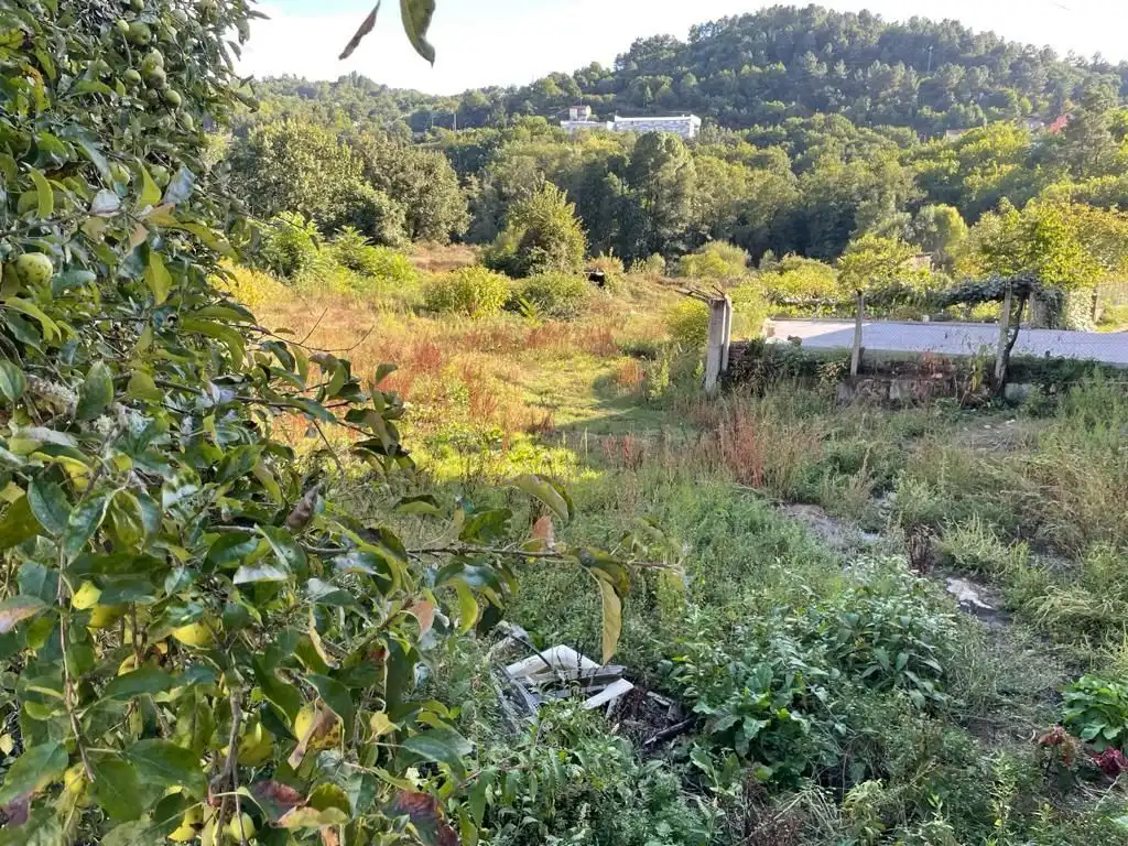 Terreni e lotti in vendita a O Pereiro de Aguiar, imagen 4