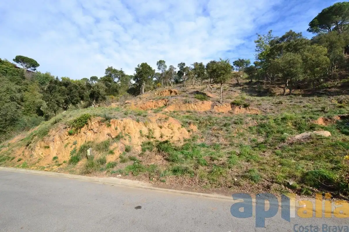Residential land for sale in Carrer Eucaliptus, imagen 2