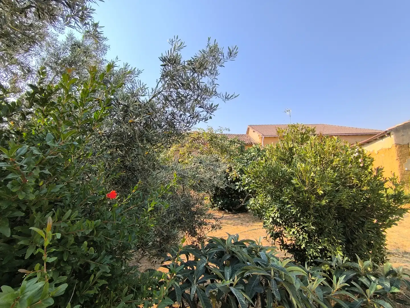 Casa o chalet en venta en Pozo de Urama con Calefacción, Jardín privado y Trastero