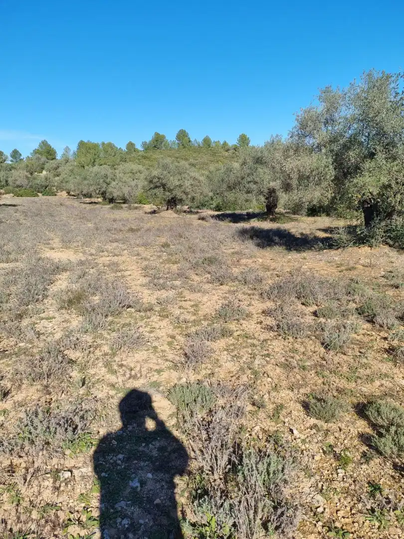 Residencial en venda en Vilafamés