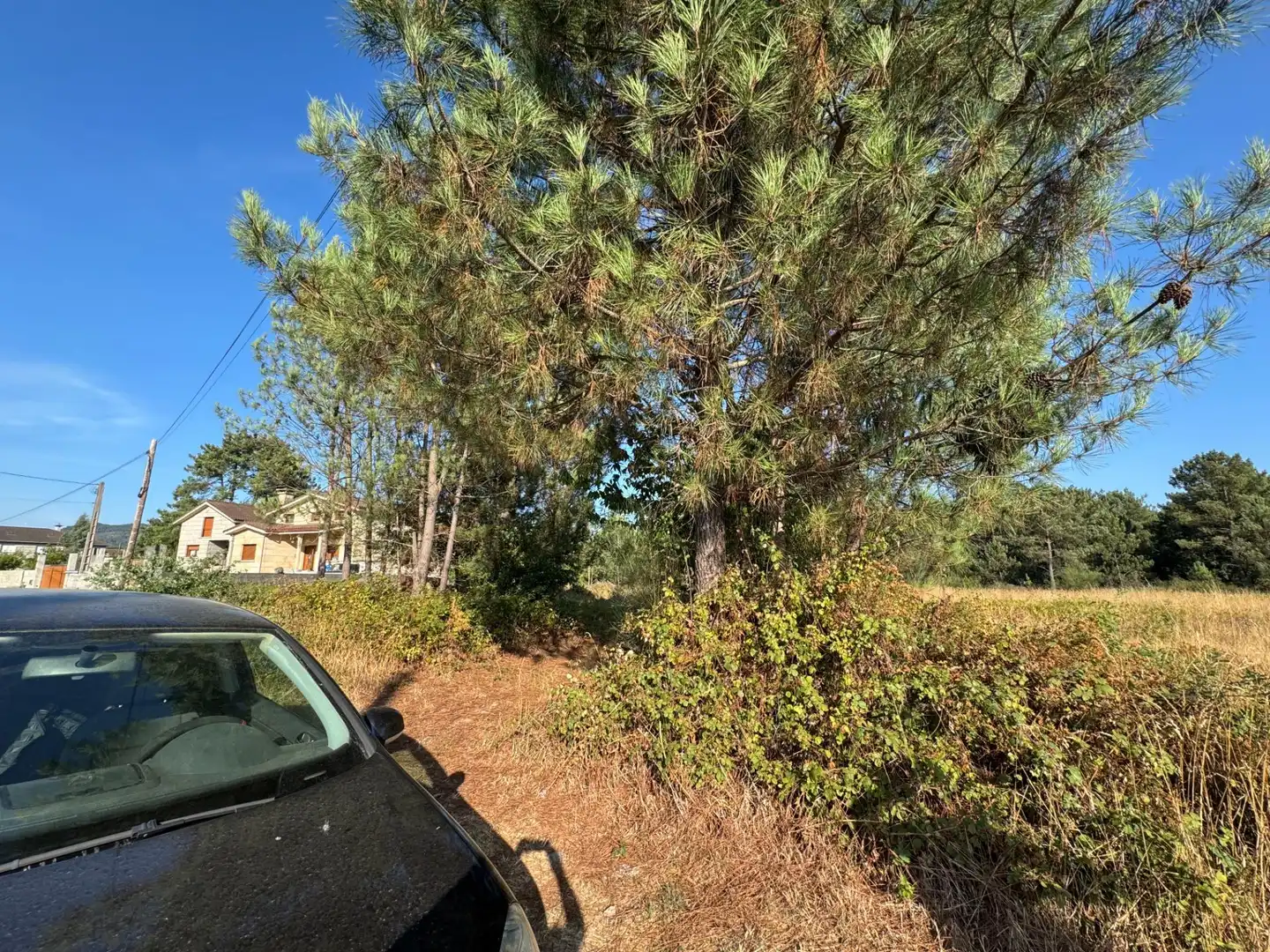 Terrenos y solares en venta en Lugar de Costeira, imagen 4