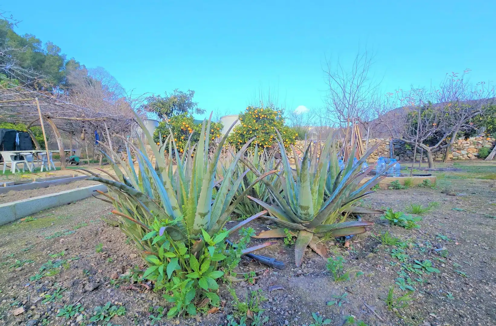 Garten von Residential zum Verkauf in L'Aleixar