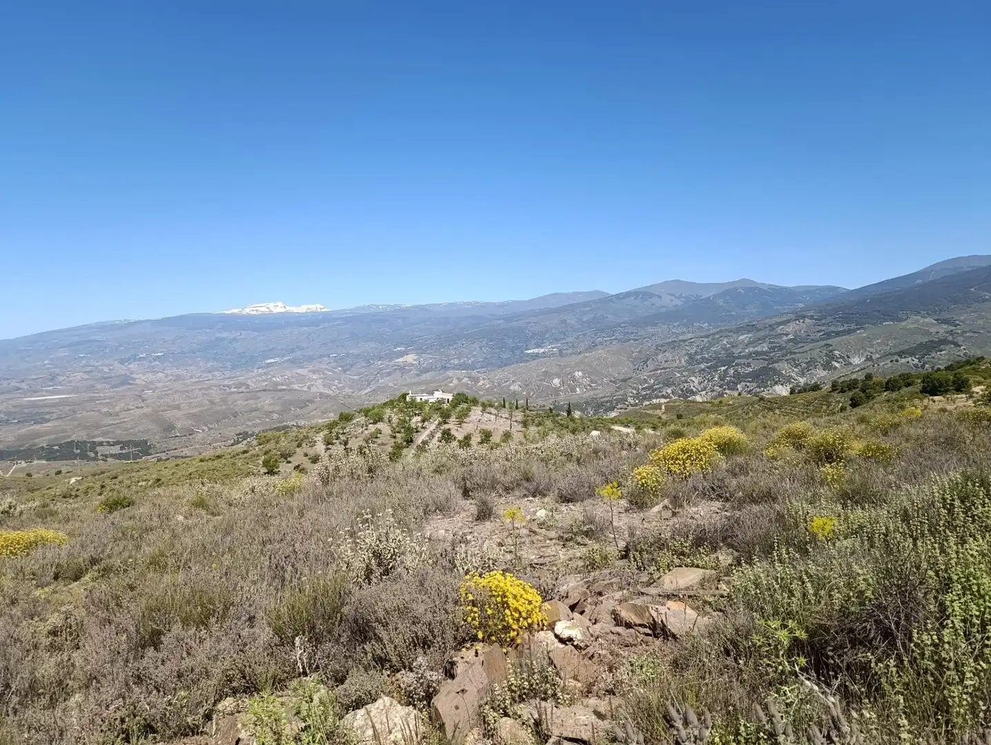 Terrenys i solars en venda a Laujar de Andarax, imagen 10